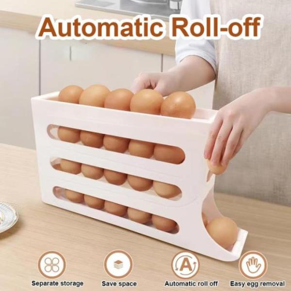 Egg Holder Organizer for